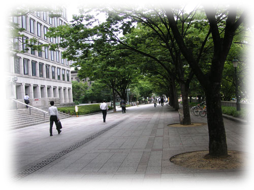 �S�V�b�N�������B�^�n�W��������}�A��